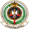Government client